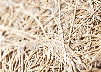 ökologisches Verpackungsmaterial Kokos